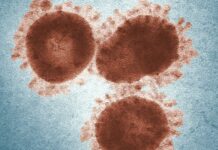 Reportan la primera muerte por sarampión en Guerrero