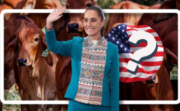 México y EEUU prevén reanudar pronto el comercio de ganado tras control del brote de gusano barrenador