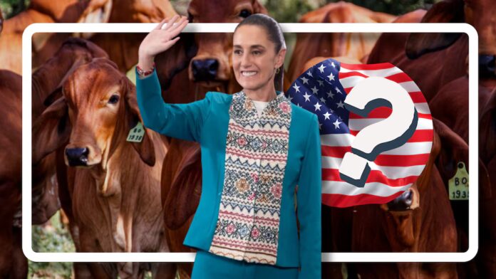 4ZGEA422IVH77NXAUJCEGPSAVE