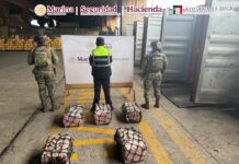 Marina incauta 137 kilos de cocaína en el puerto de Lázaro Cárdenas y detiene a cinco ecuatorianos