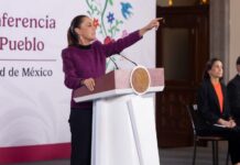 Sheinbaum pide a la secretaria del Bienestar “llamarle la atención” a la prima de AMLO que le dijo “asqueroso” a Trump