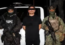 Detienen a ‘El Peli’, sicario de ‘Los Chapitos’, en Mazatlán, Sinaloa