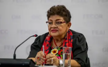 “Soberanía no se somete a presiones externas ni internas”: Ernestina Godoy